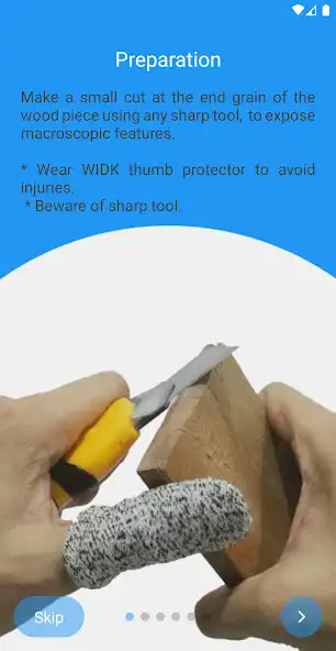 Play Xylorix Inspector  and enjoy Xylorix Inspector with UptoPlay