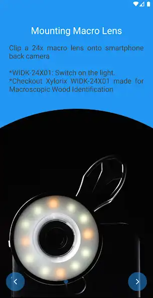 Play Xylorix Inspector as an online game Xylorix Inspector with UptoPlay