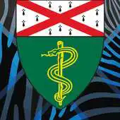 Free play online Yale Xebra APK