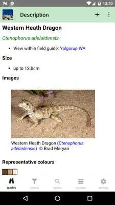 Play Yalgorup NP