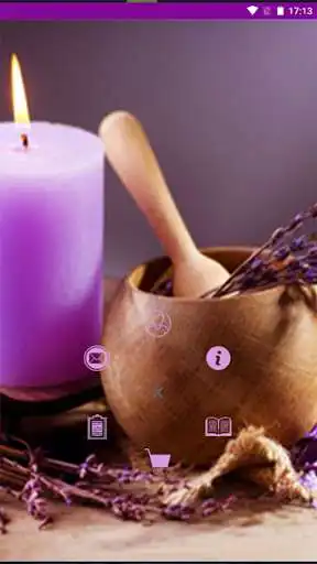 Play YAN ORGANIC  and enjoy YAN ORGANIC with UptoPlay