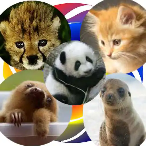 Free play online YAP Young Animal Pairs APK