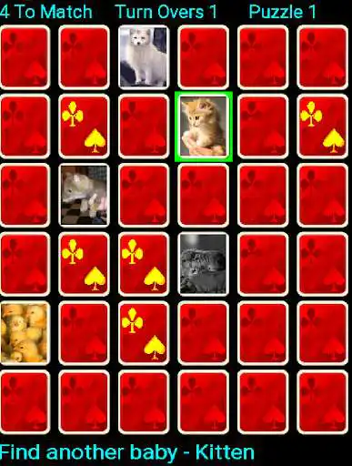 Play YAP Young Animal Pairs