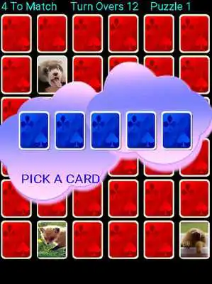 Play YAP Young Animal Pairs