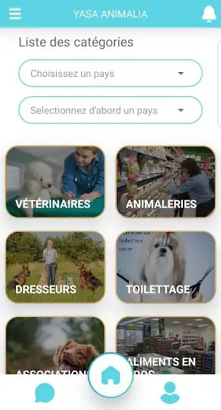 Play Yasa Animalia  and enjoy Yasa Animalia with UptoPlay