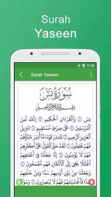 Play Yasin Pro