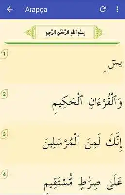 Play Yasin Surat Turkish