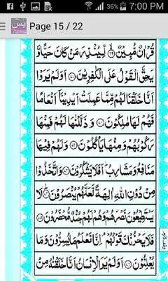 Play Yasin Urdu Fazail