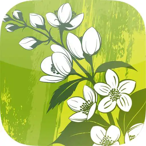 Play Yasmine Residence APK Play Yasmine Residence APK