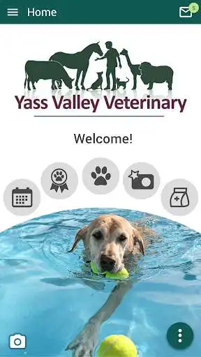 Play Yass Vet  and enjoy Yass Vet with UptoPlay
