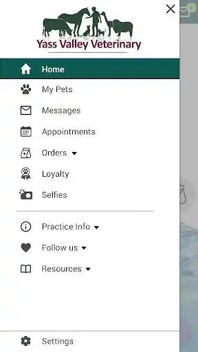 Play Yass Vet as an online game Yass Vet with UptoPlay