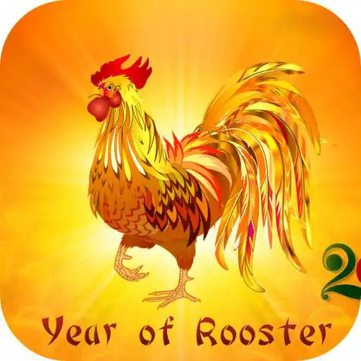 Free play online Year of Rooster. Super Wallpapers APK