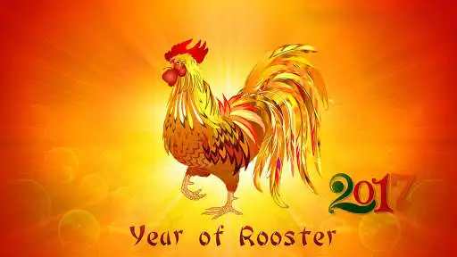 Play Year of Rooster. Super Wallpapers