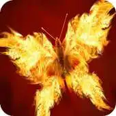 Free play online Yellow butterfly Live WP APK Free play online Yellow butterfly Live WP APK