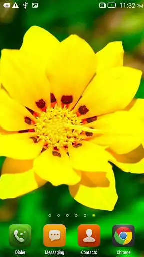 Play Yellow Flower Live Wallpaper Free as an online game Yellow Flower Live Wallpaper Free with UptoPlay
