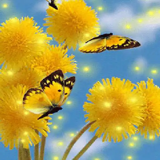 Play Yellow Flowers Butterfly LWP APK Play Yellow Flowers Butterfly LWP APK