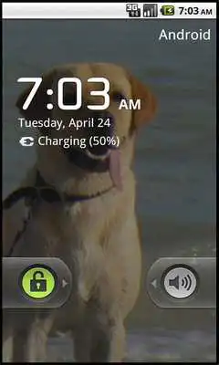 Play Yellow Lab Wallpaper Play Yellow Lab Wallpaper