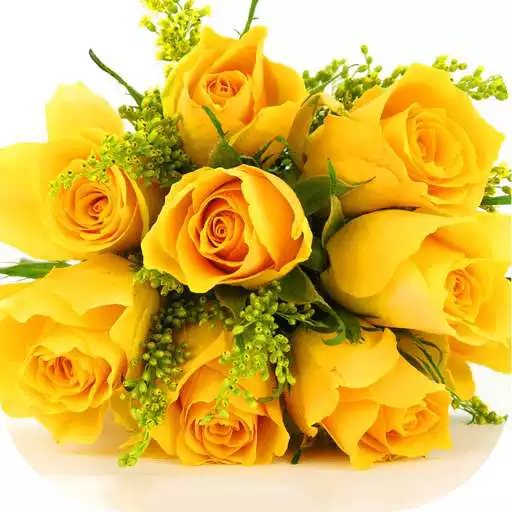 Free play online Yellow Roses Wallpapers APK Free play online Yellow Roses Wallpapers APK