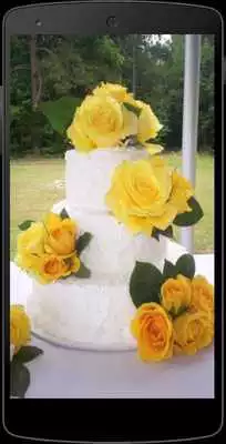 Play Yellow Roses Wallpapers