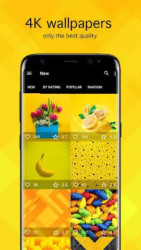 Play Yellow Wallpapers 4K  and enjoy Yellow Wallpapers 4K with UptoPlay