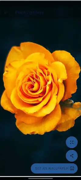 Play yellow wallpapers offline  and enjoy yellow wallpapers offline with UptoPlay