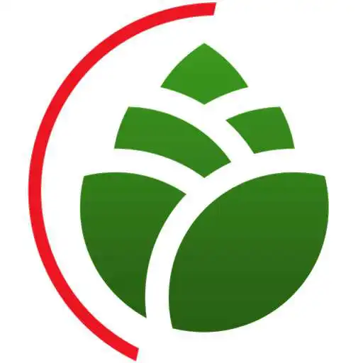 Play Yendidwa Online APK Play Yendidwa Online APK