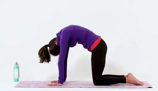 Play Yoga for Improved Flexibility