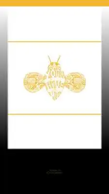 Play Yoga Hive Play Yoga Hive