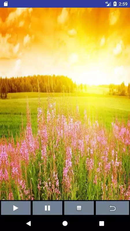 Play Yoga Music  Meditation Relax  Music -Sleep, Spa