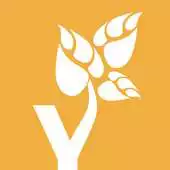 Free play online Yoga Tree APK