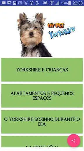 Play Yorkshire Guia Basico as an online game Yorkshire Guia Basico with UptoPlay