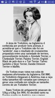 Play Yorkshire Guia Basico