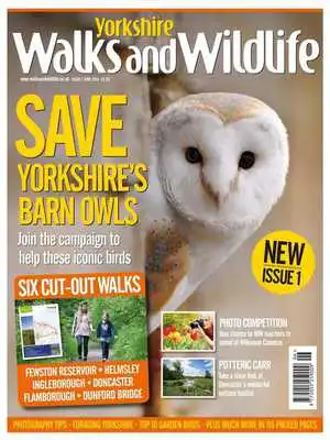 Play Yorkshire Walks  Wildlife