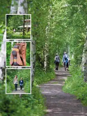 Play Yorkshire Walks  Wildlife