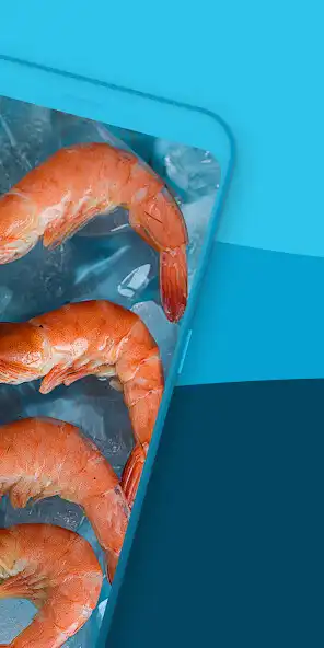 Play YORSO Fresh Fish B2B – buy wholesale fish online as an online game YORSO Fresh Fish B2B – buy wholesale fish online with UptoPlay