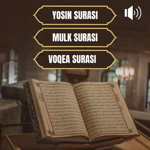 Play Yosin Mulk Voqea Surasi APK Play Yosin Mulk Voqea Surasi APK