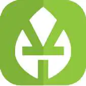 Free play online You Look Light APK