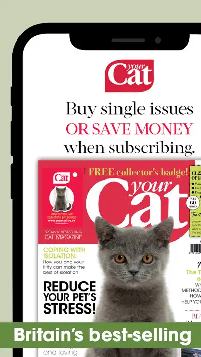 Play Your Cat  and enjoy Your Cat with UptoPlay