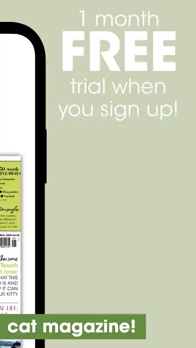 Play Your Cat as an online game Your Cat with UptoPlay