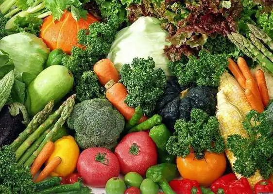 Play Your paleo plan