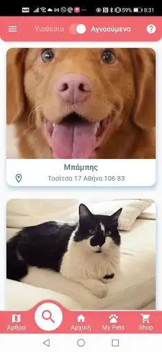 Play Your Pet and enjoy Your Pet with UptoPlay Play Your Pet and enjoy Your Pet with UptoPlay