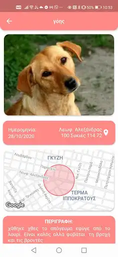 Play Your Pet as an online game online Your Pet with UptoPlay Play Your Pet as an online game Your Pet with UptoPlay