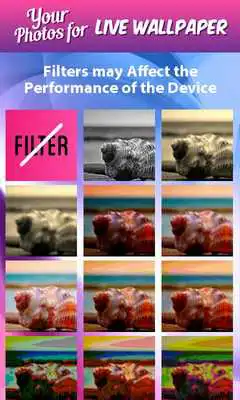 Play Your Photos for Live Wallpaper Play Your Photos for Live Wallpaper