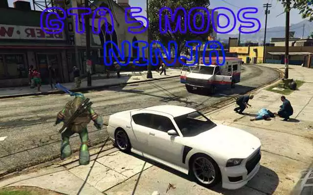 Play Your Turtle GTA Mods Run Ninja