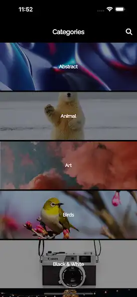 Play Your Wall - Cool Wallpapers as an online game online Your Wall - Cool Wallpapers with UptoPlay Play Your Wall - Cool Wallpapers as an online game Your Wall - Cool Wallpapers with UptoPlay