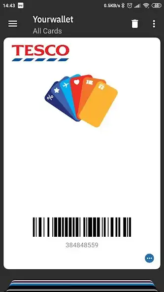 Play Yourwallet as an online game Yourwallet with UptoPlay