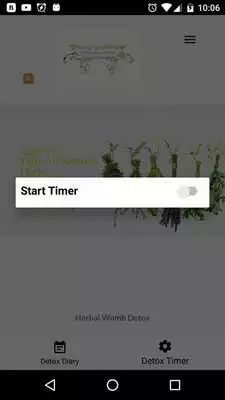 Play Yummy Yoni Pearls