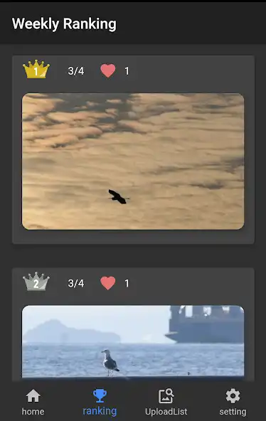 Play yuru Bird Photo as an online game yuru Bird Photo with UptoPlay
