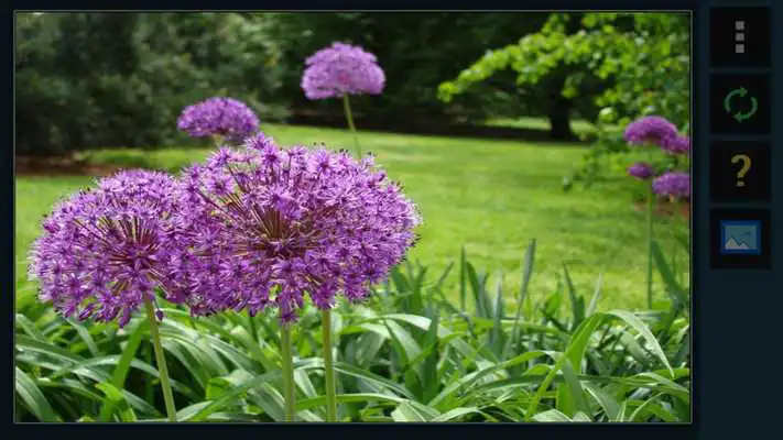 Play Yuzzle Play Yuzzle