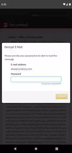 Play Z1 SecureMail Viewer as an online game Z1 SecureMail Viewer with UptoPlay